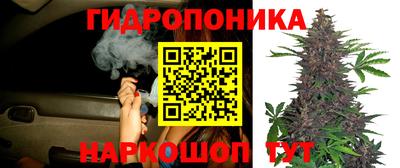 стаф Кизляр