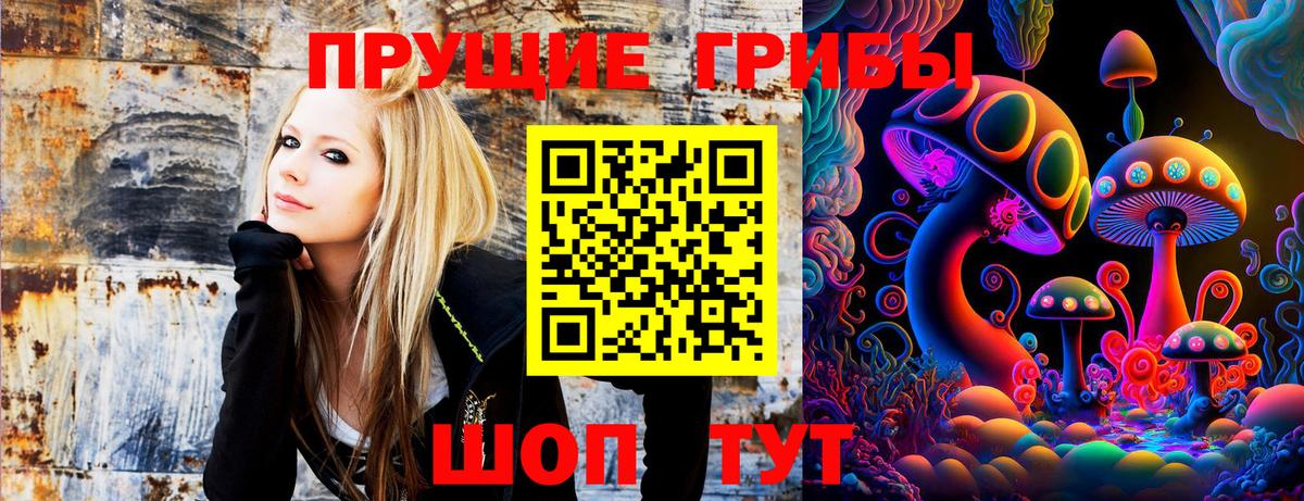 Псилоцибиновые грибы GOLDEN TEACHER Сарапул
