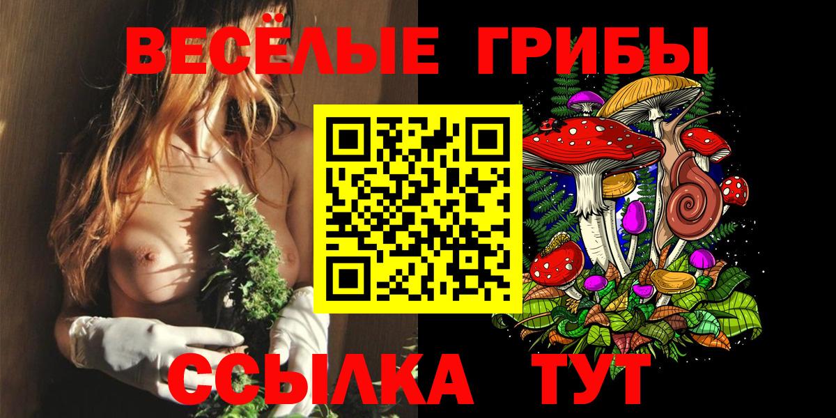Сарапул  Галлюциногенные грибы мухоморы  Вход с VPN 